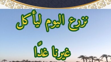 خطبة الجمعة القادمة 1 : ٢ مايو ٢٠٢٥م، الموافق ٤ ذو القعدة ١٤٤٦ هـ تحت عنوان : "ونغرس فيأكل من بعدنا" للشيخ ثروت سويف