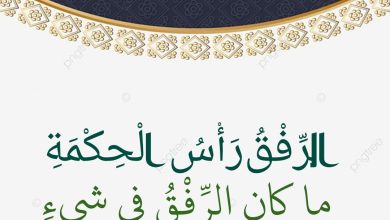 خطبة الجمعة القادمة تحت عنوان لا تغلو في دينكم وما كان الرفق في شيء إلا زانه بتاريخ 14 صفر 1447هـ ، الموافق 8 أغسطس 2025م للشيخ ثروت سويف